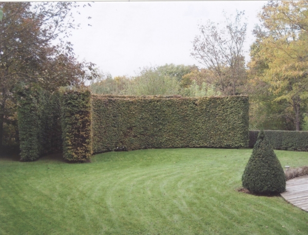 hecke_1.jpg