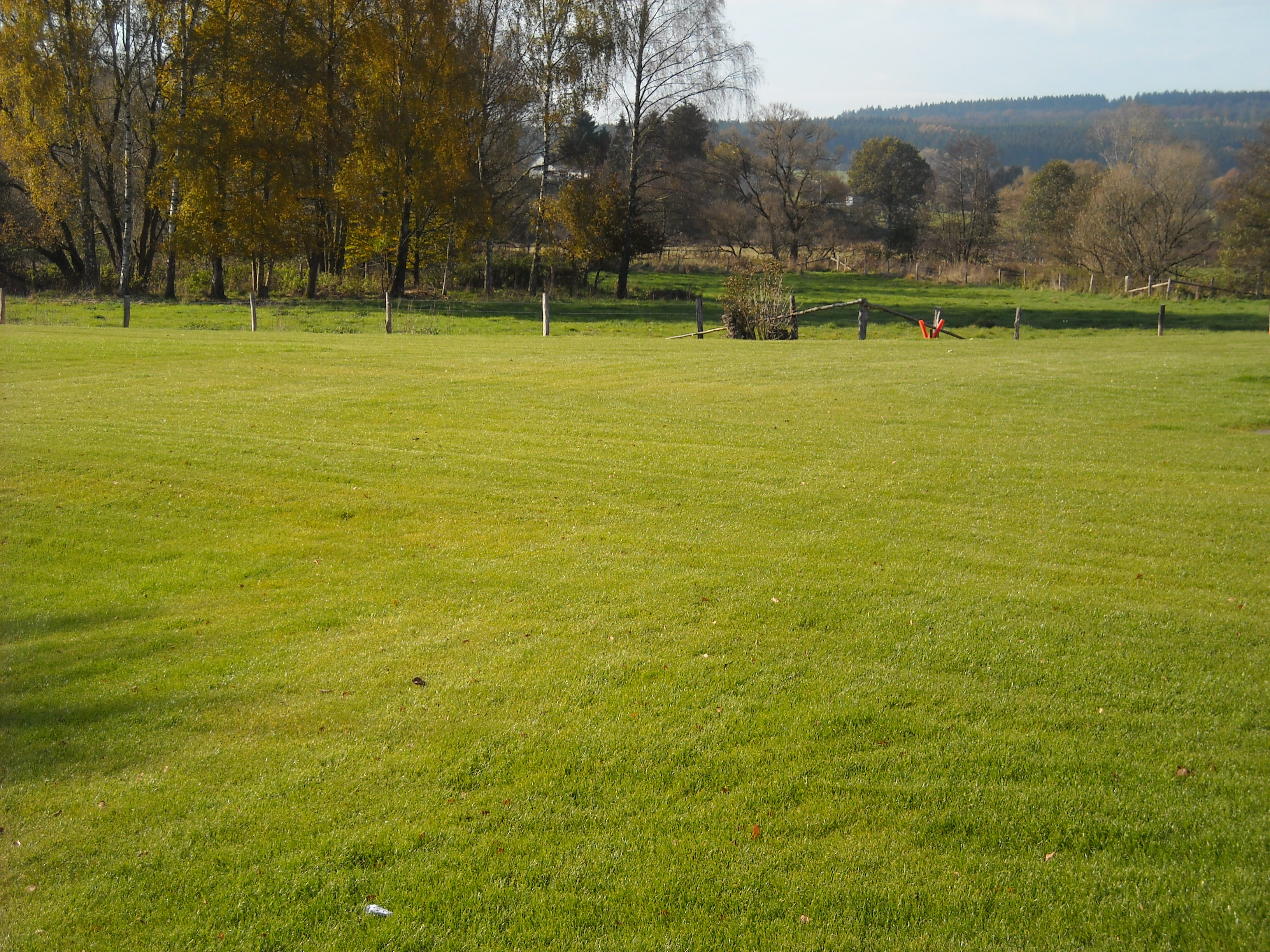 DSCN1555.JPG